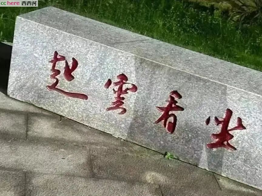 点看全图